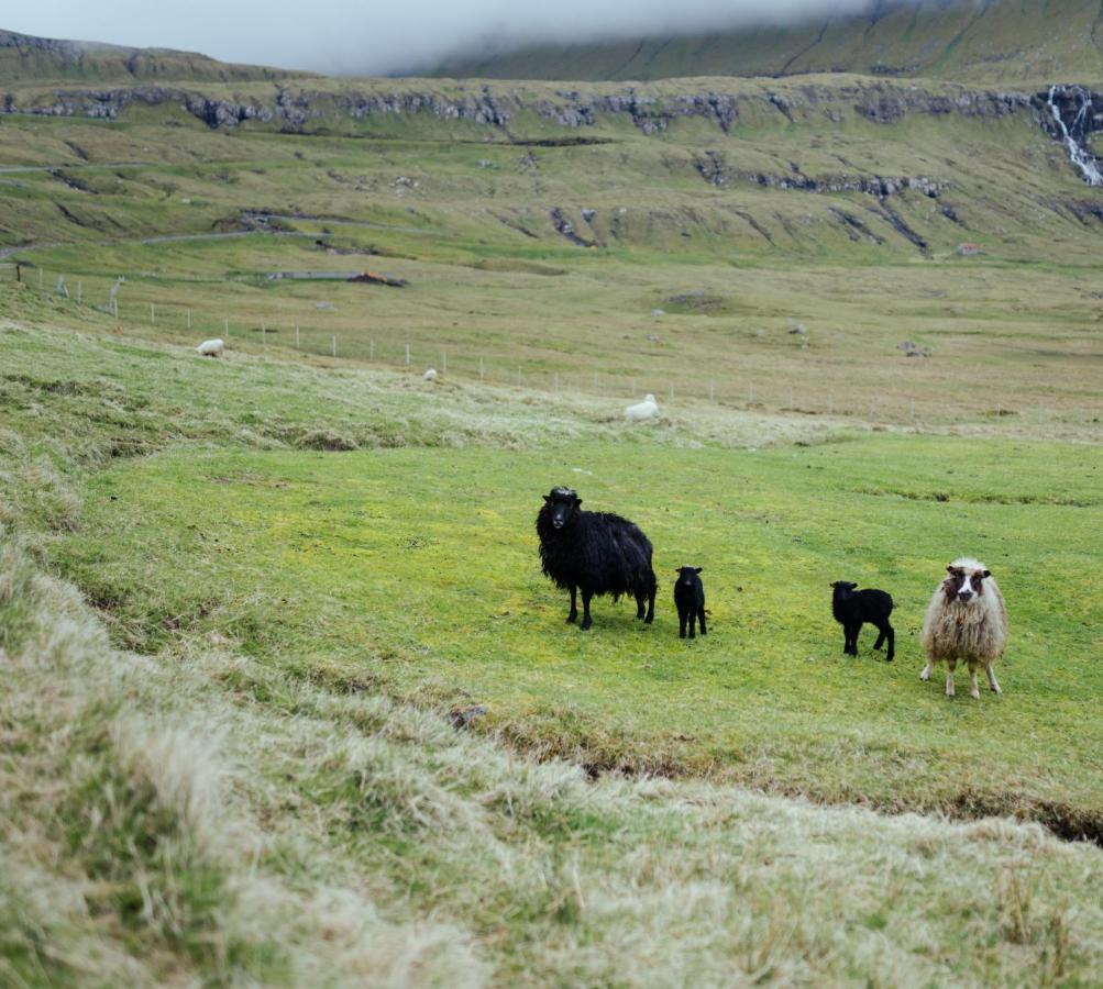 Authentic Faroese House / Unique Location / Nature Hellurnar Extérieur photo